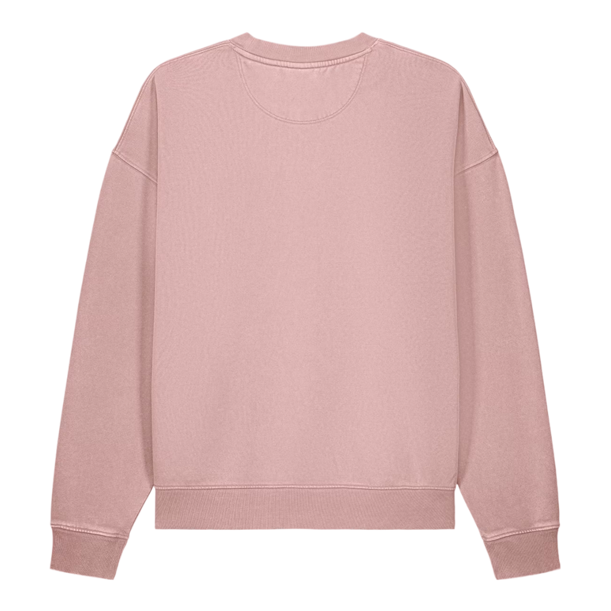 Washed Sweatshirt — Pink back